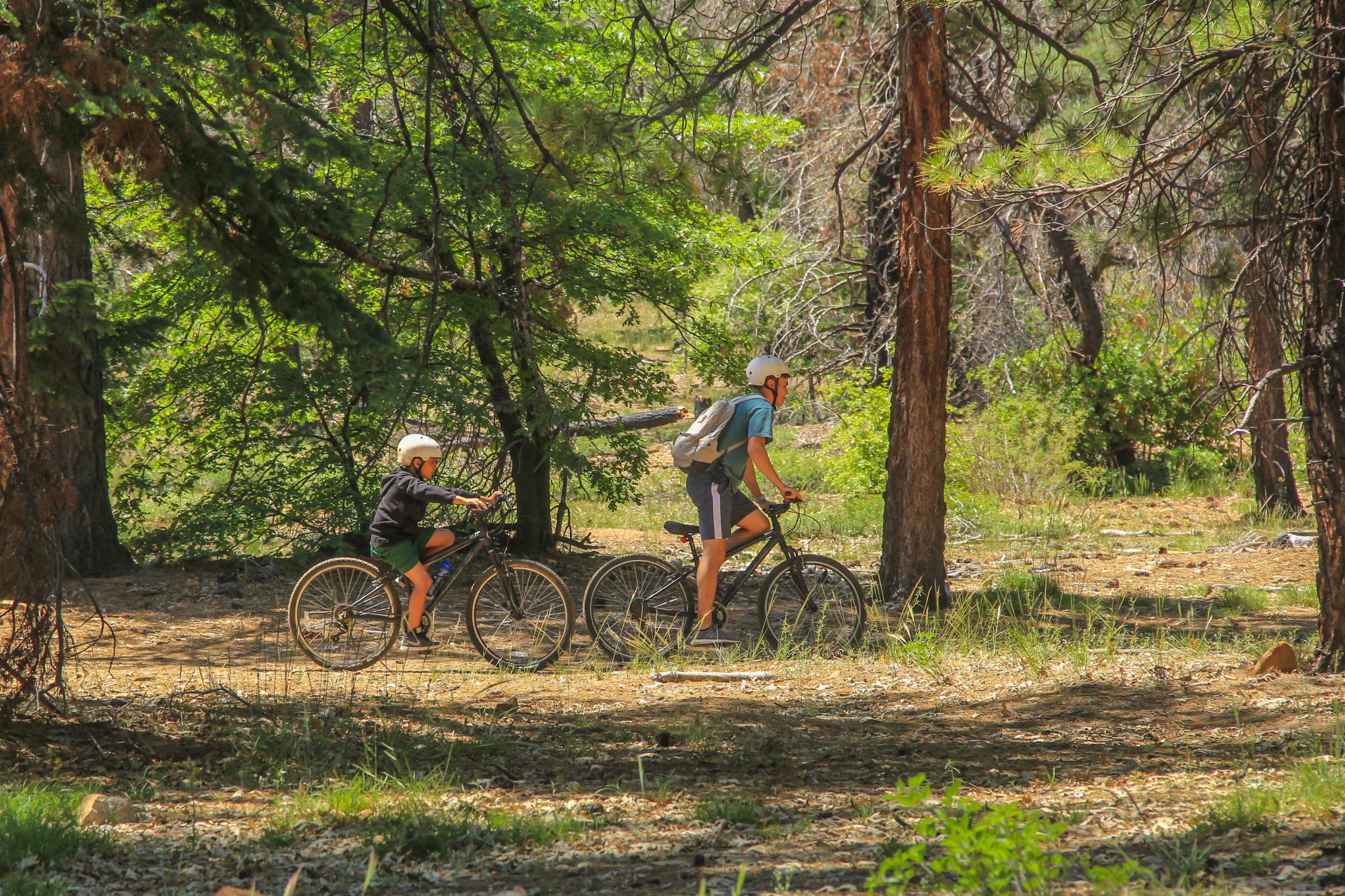 Mountain Biking
