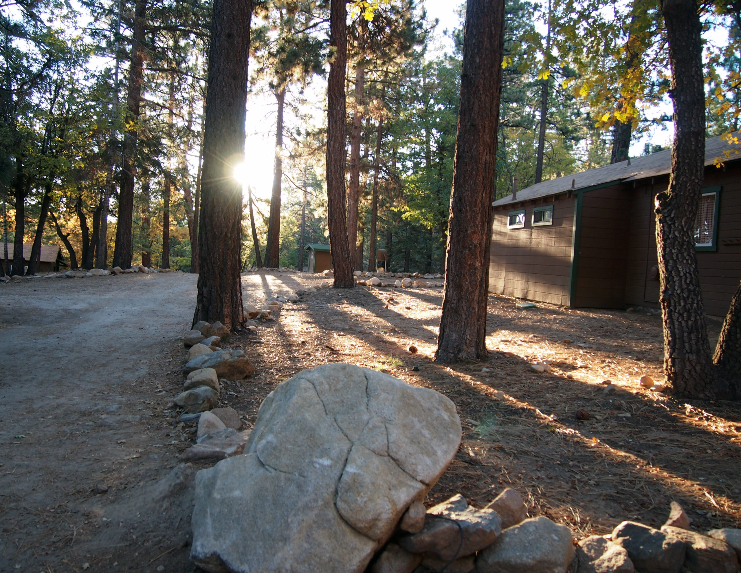 Cabin View Sunrise
